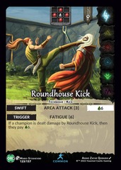 Roundhouse Kick